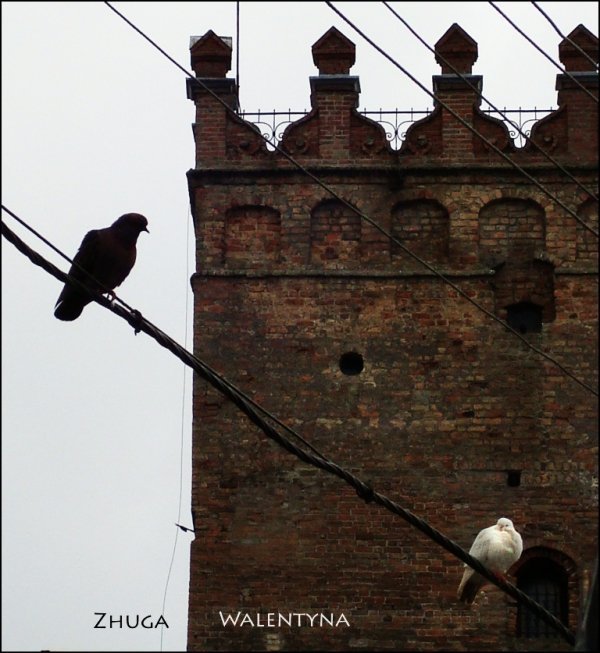 Фотовиставка Валентини Жуги